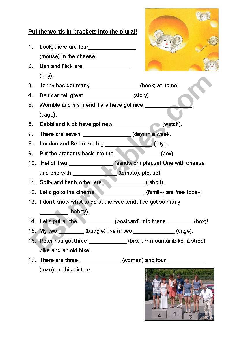 the plural - exercises worksheet