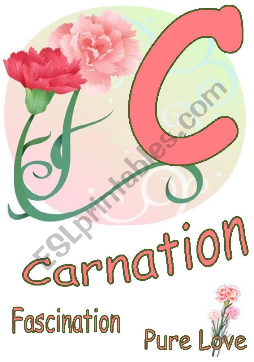 floral Alphabets  C worksheet