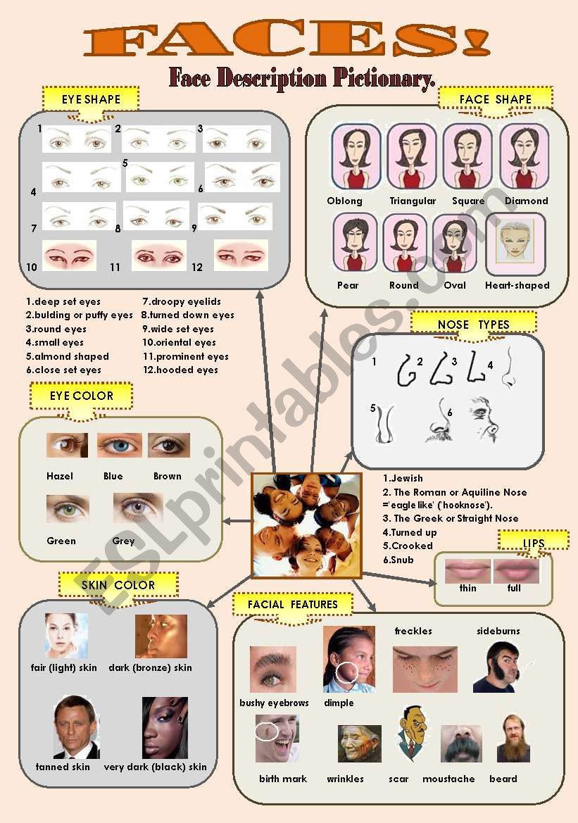 FACES! - face describtion pictionary