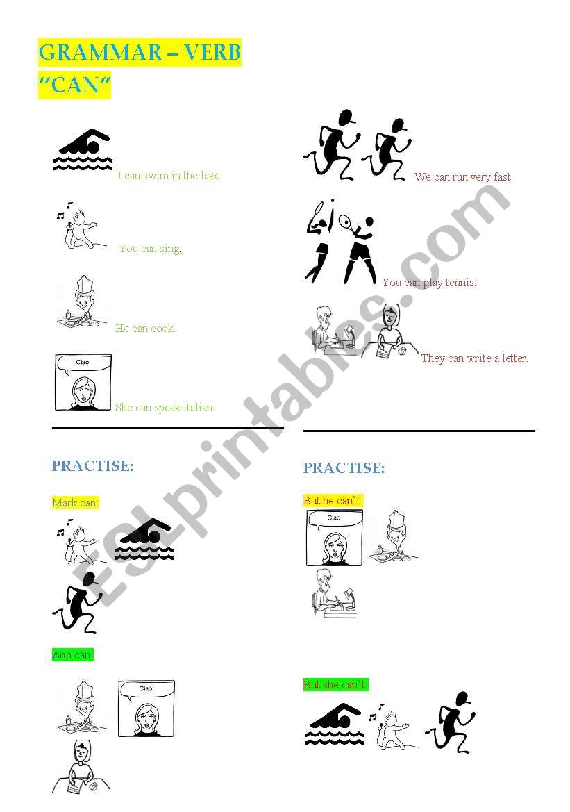 the verb CAN worksheet