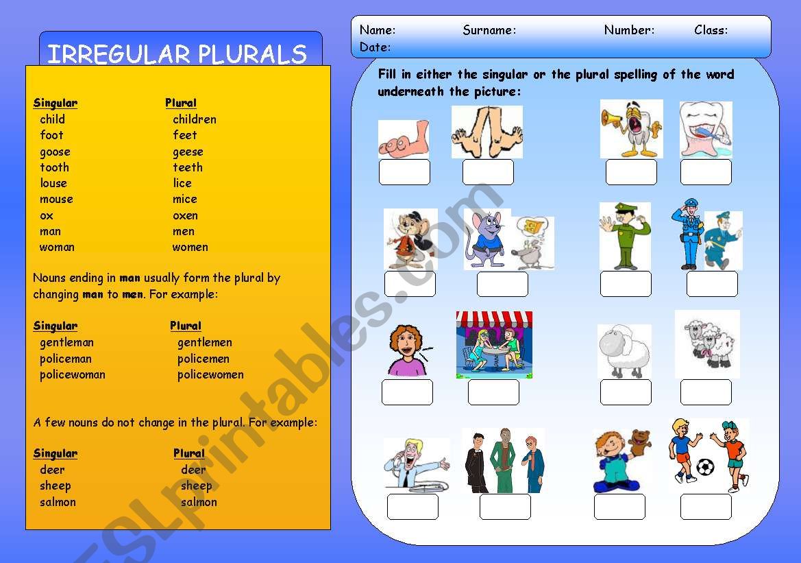 IRREGULAR PLURALS worksheet