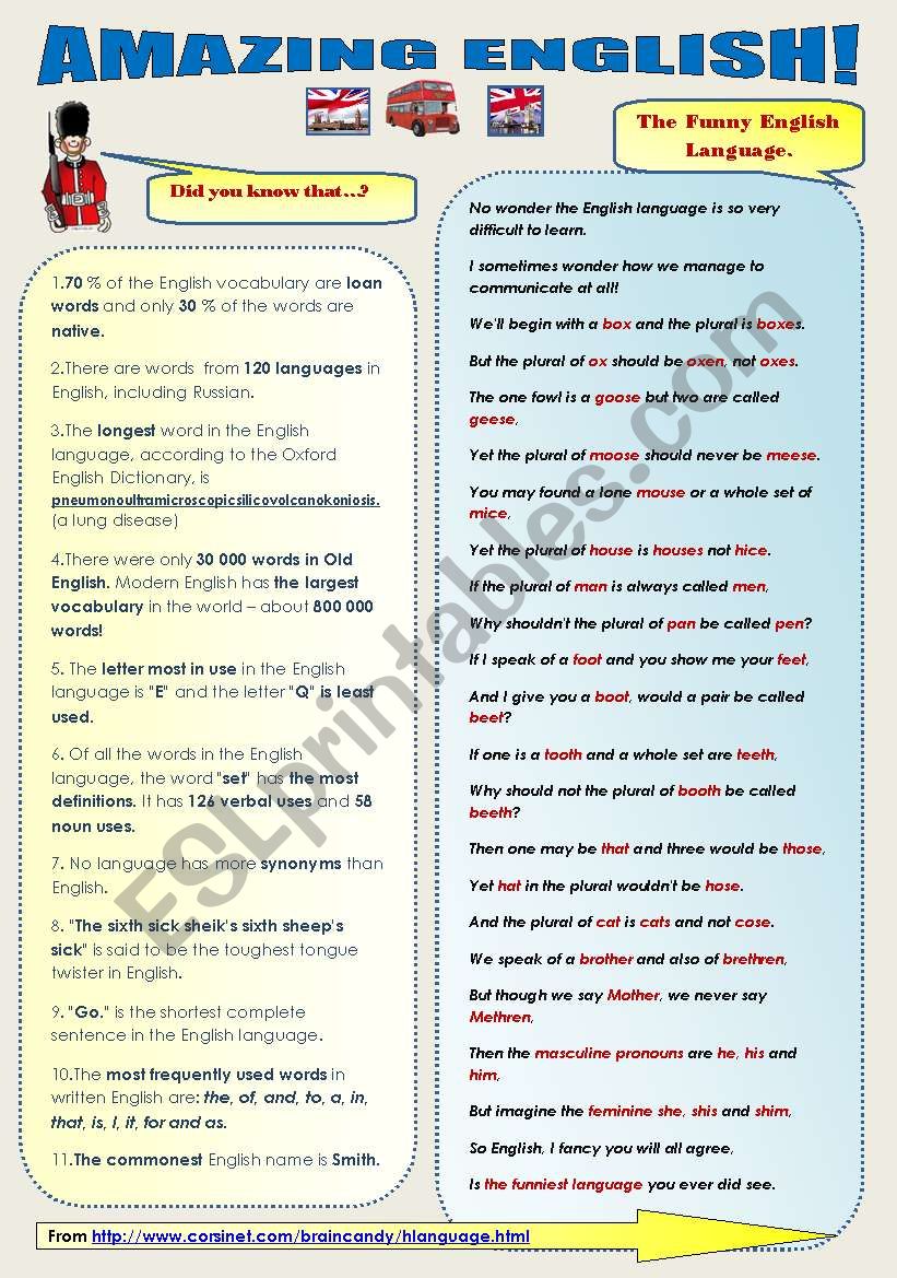 AMAZING ENGLISH! fun set 2 pages 