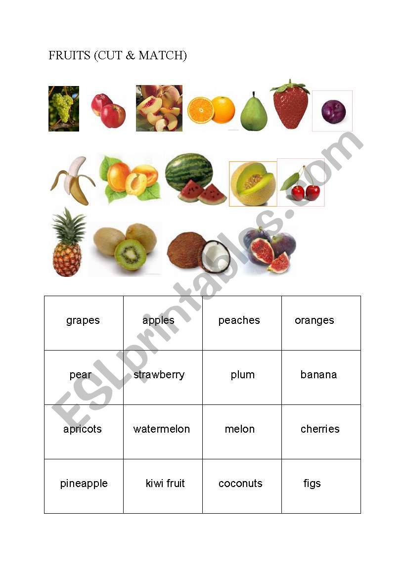fruits worksheet