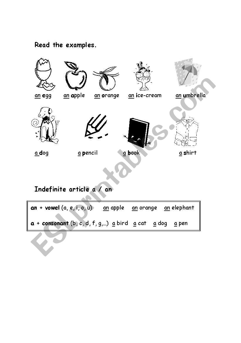 Indefinite article a an worksheet