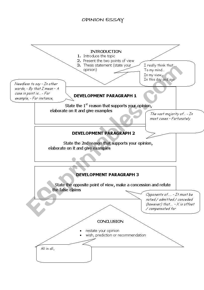 OPINION ESSAY WRITING PLAN worksheet