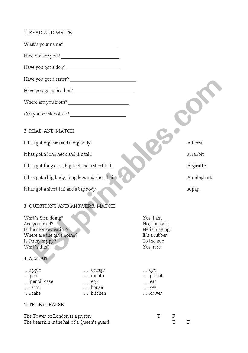 grammar exercises worksheet