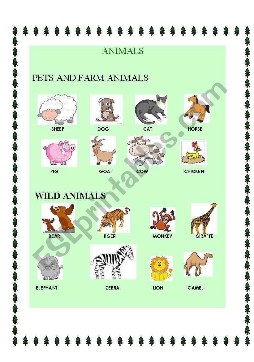 ANIMALS PICTIONARY worksheet