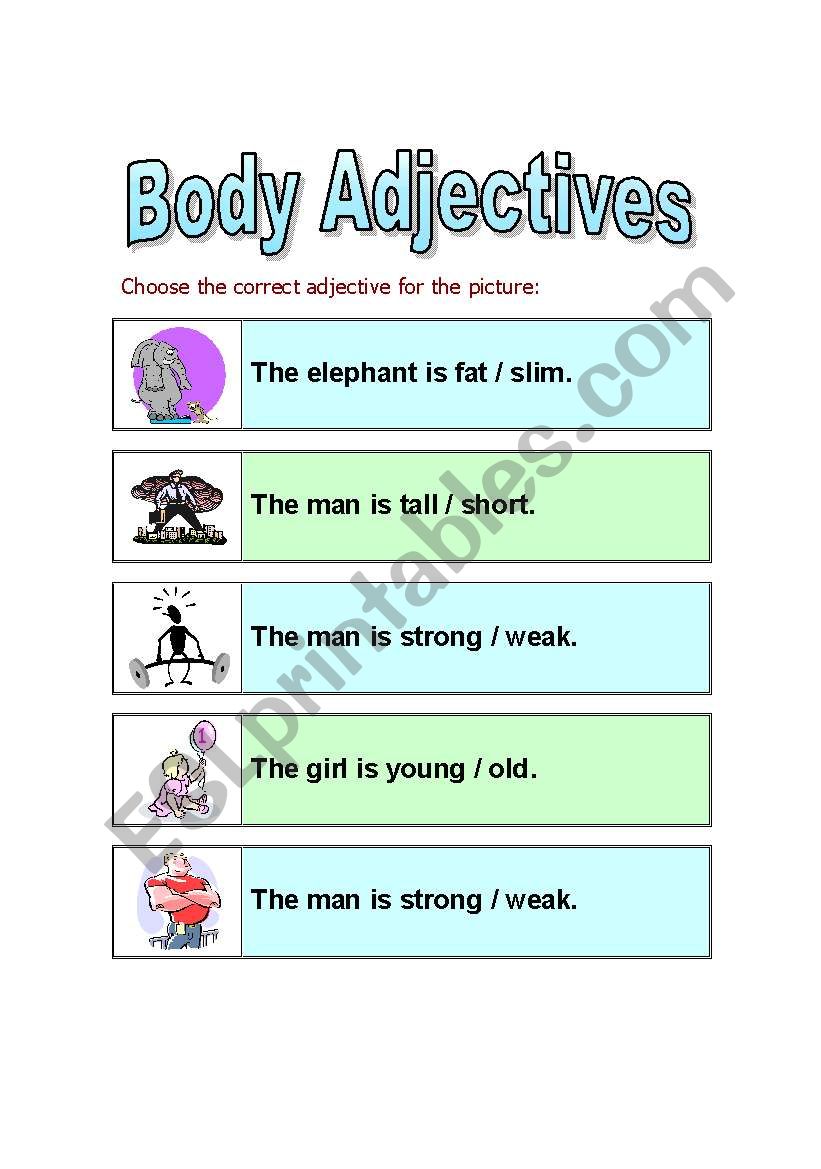 Body Adjectives worksheet