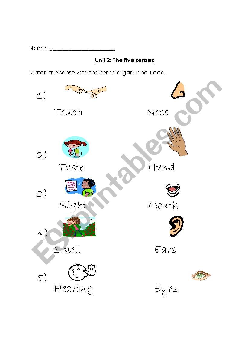 five senses worksheet