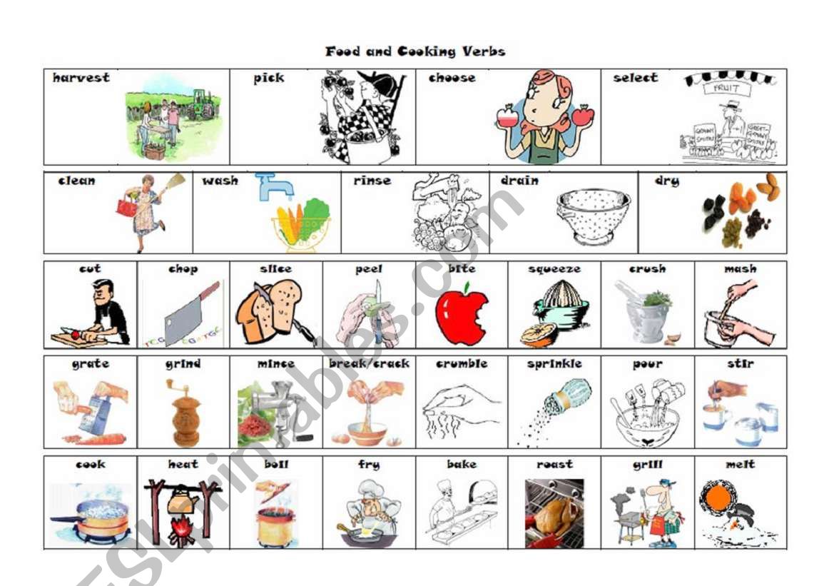 Verbs of Food and Cooking worksheet