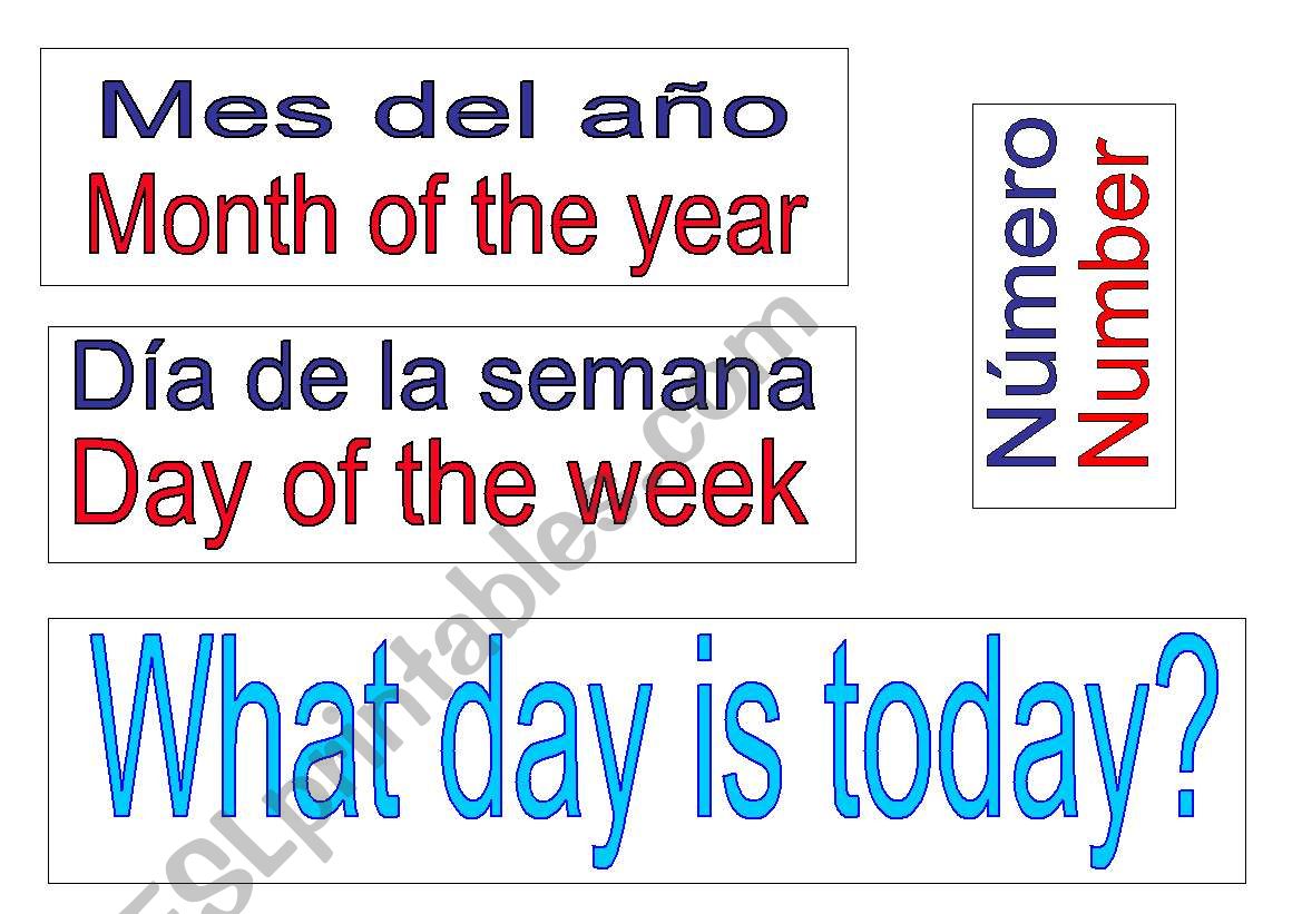 what day is today?  worksheet