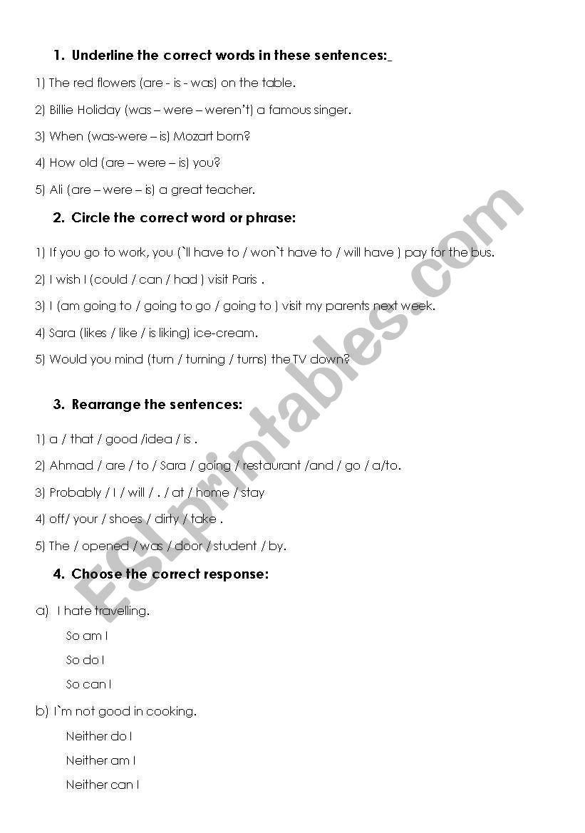 Test your grammar worksheet