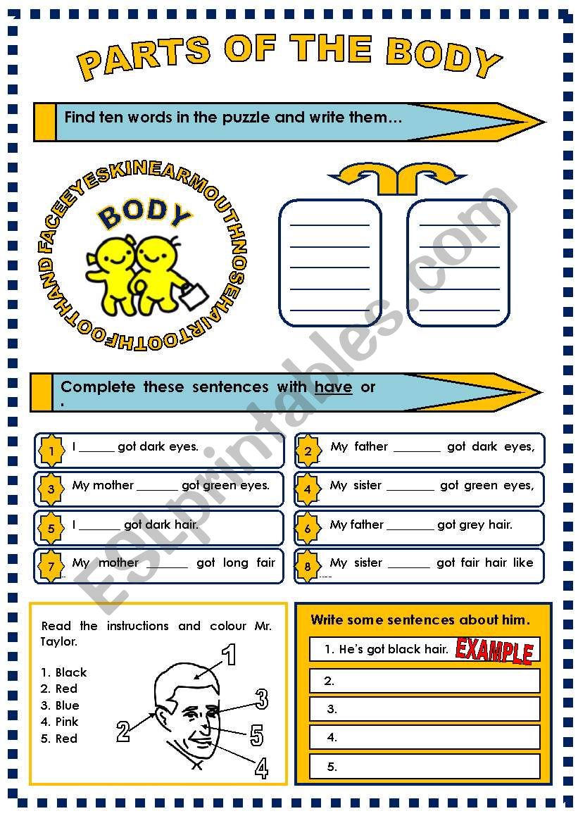 PARTS OF THE BODY worksheet