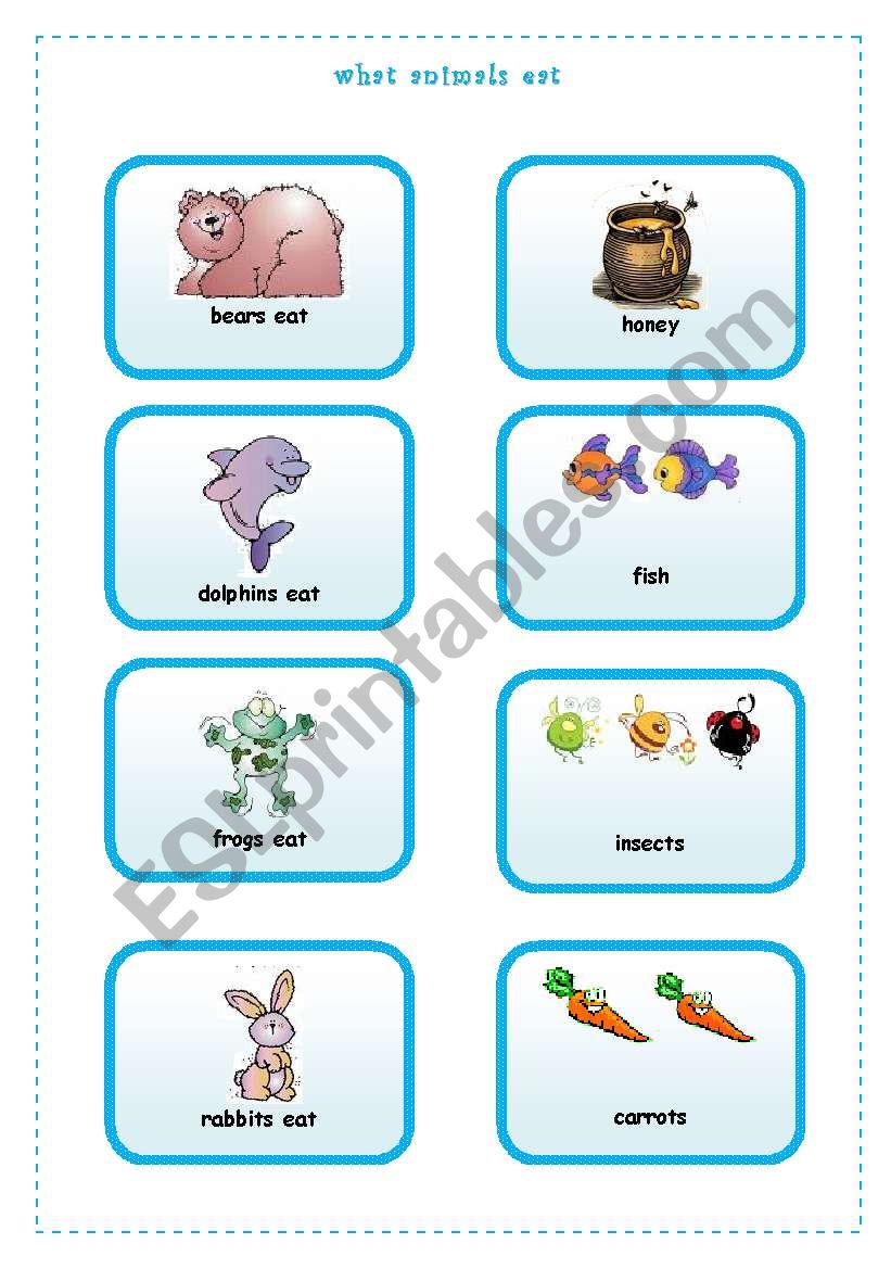 WHAT ANIMALS EAT  1/4 worksheet