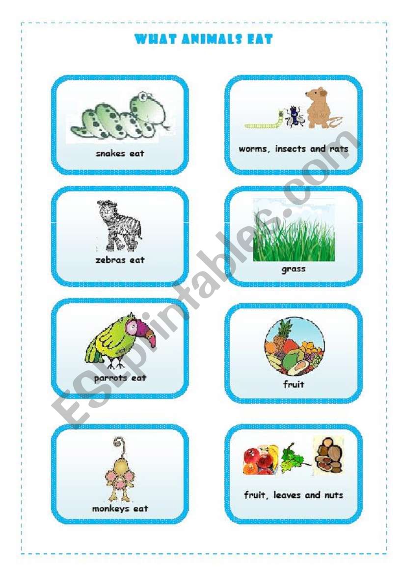 WHAT ANIMALS EAT  3/4 worksheet