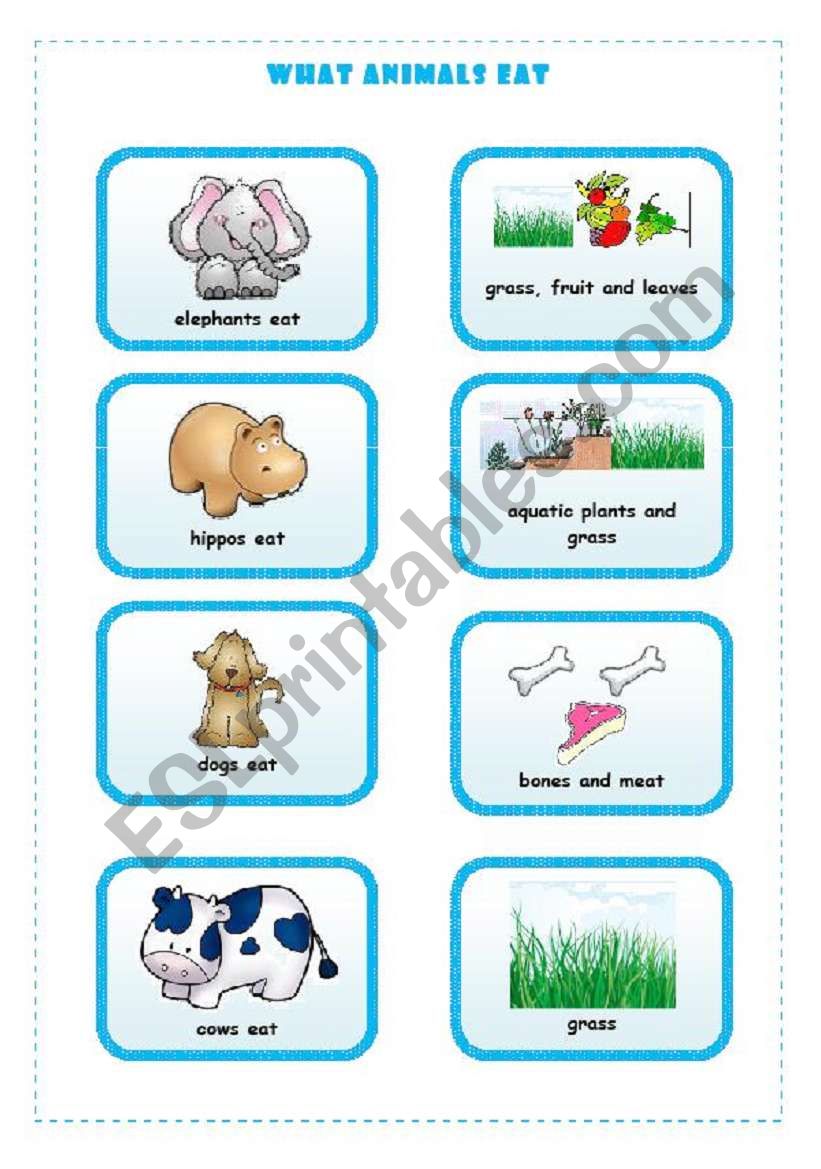 WHAT ANIMALS EAT 4/4 - ESL worksheet by blizzard1