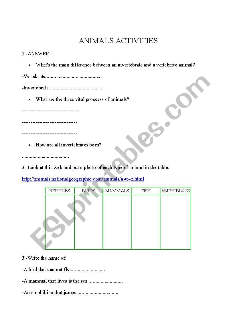 ANIMALS ACTIVITIES worksheet