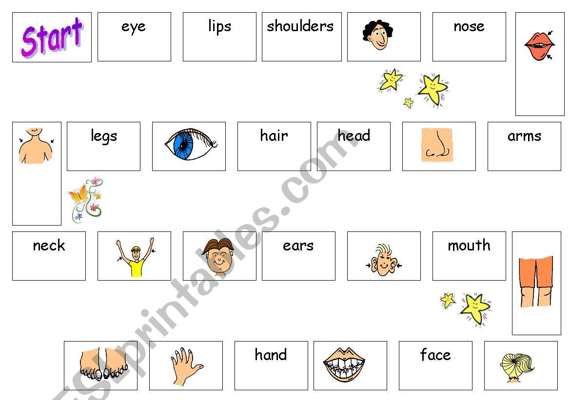 Body board game worksheet