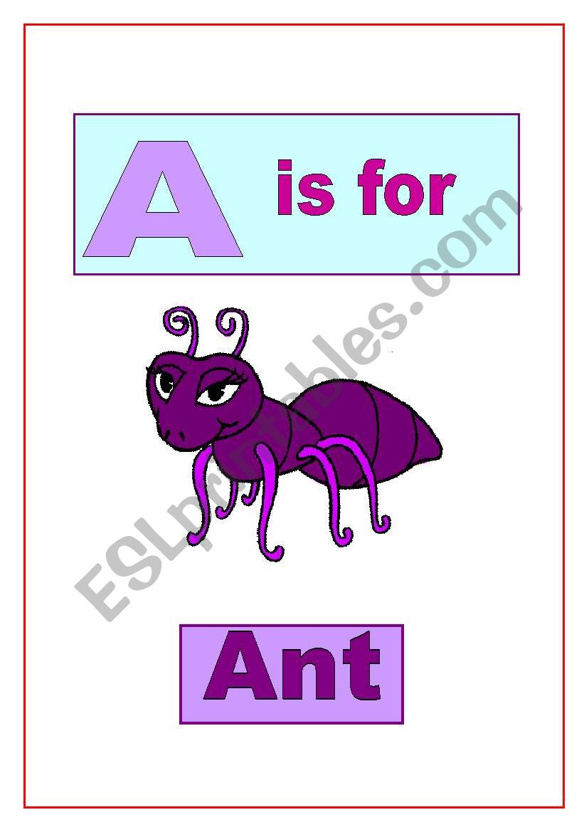 Animal alphabet (1) worksheet