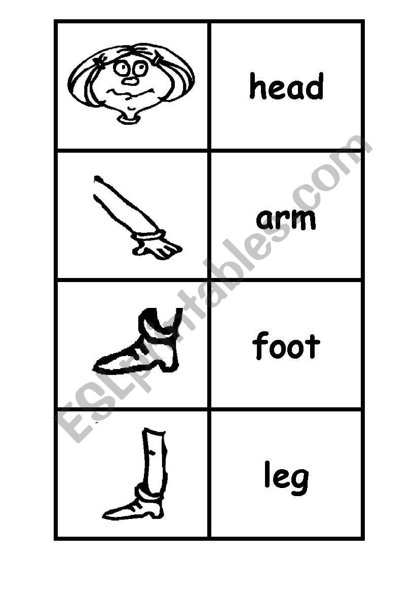 Body and face flashcards worksheet