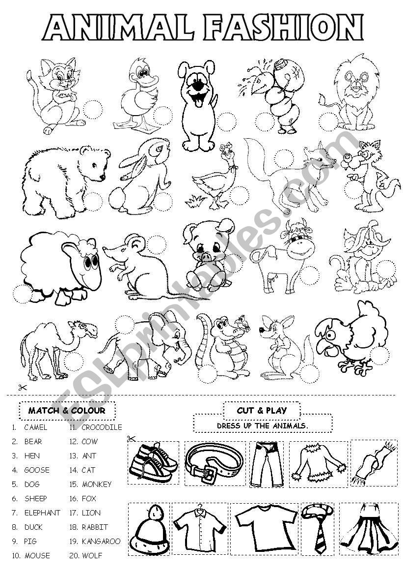 Animal Fashion worksheet