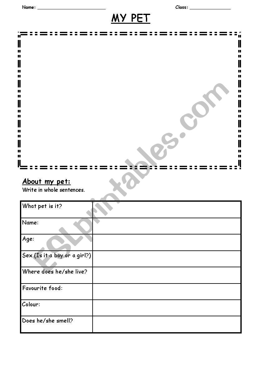 My Pet worksheet