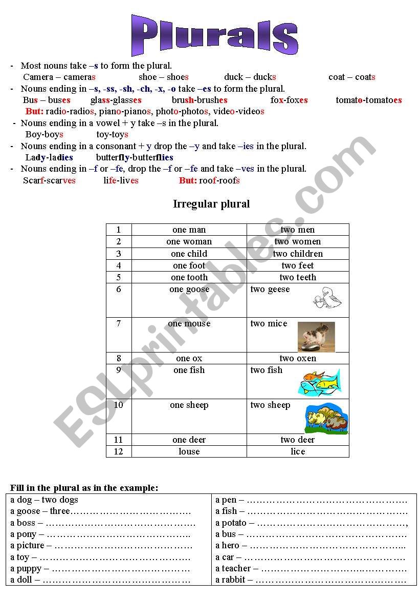 Plurals worksheet