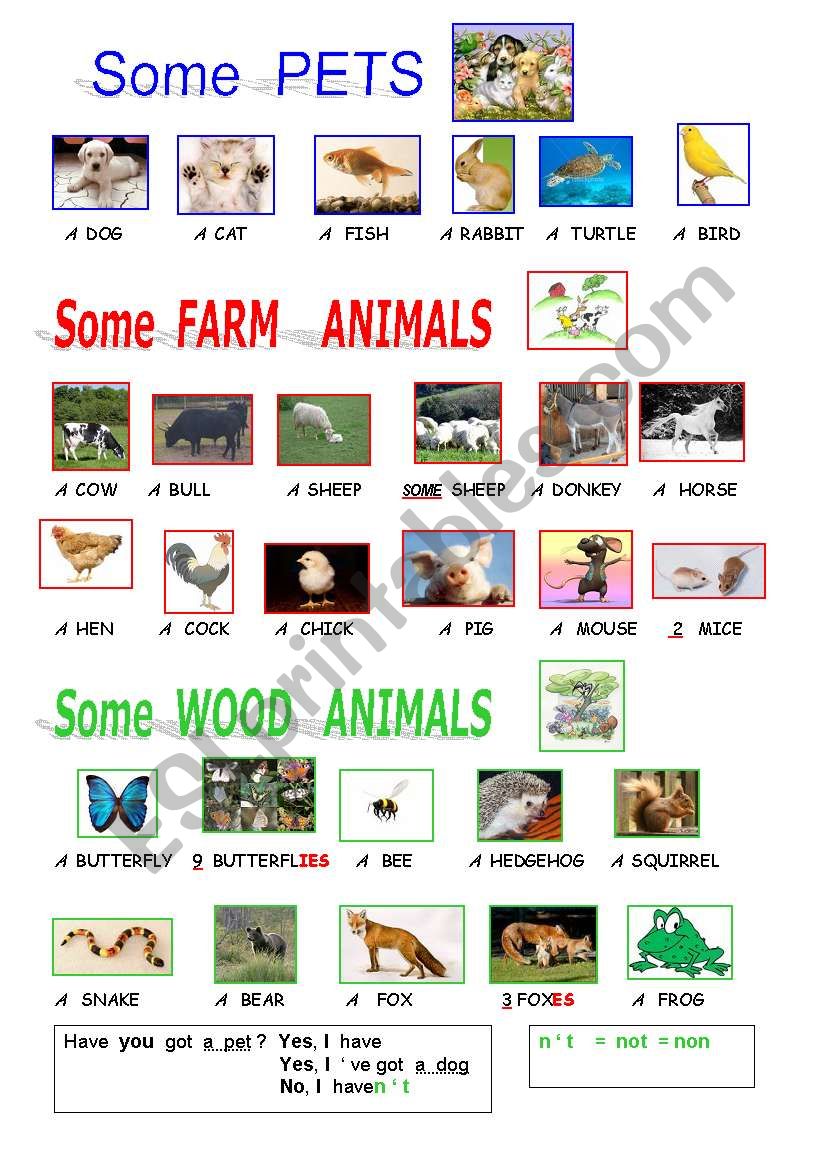 ANIMALS  PICTIONARY worksheet