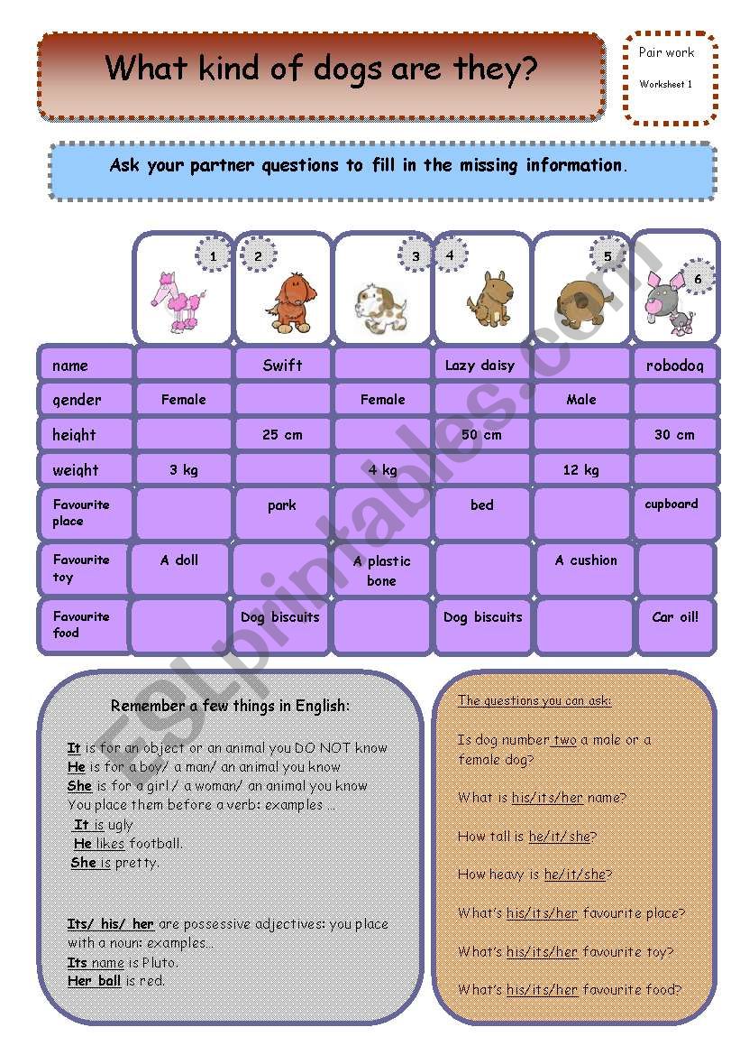 dog description part 1 worksheet