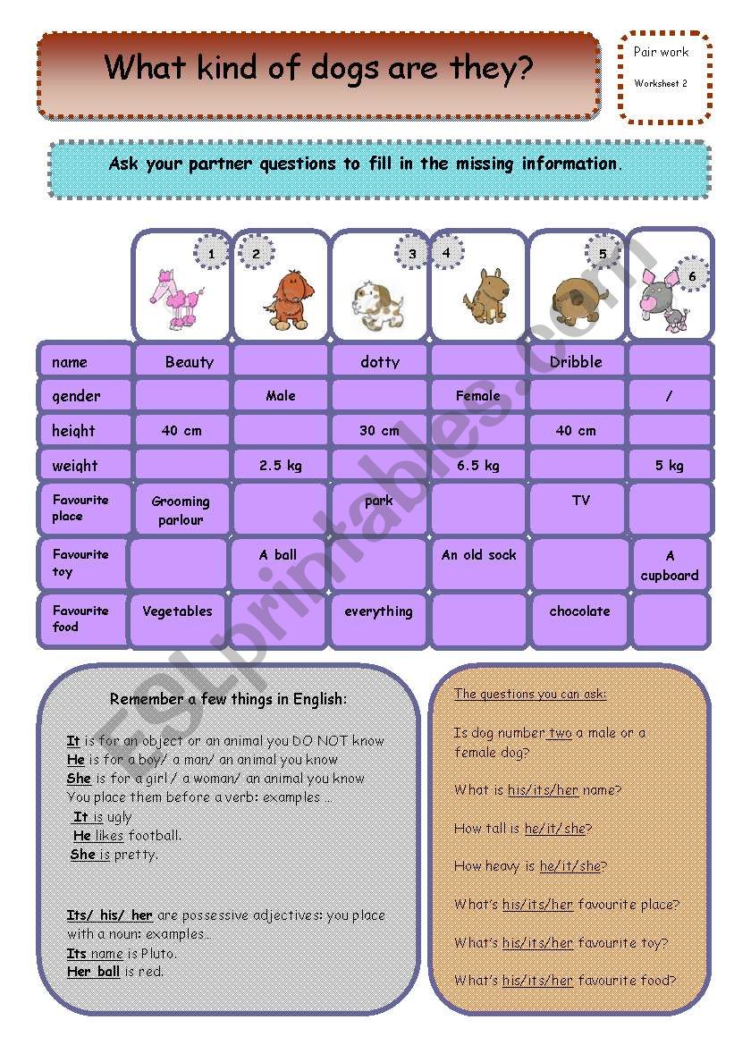 dog description worksheet