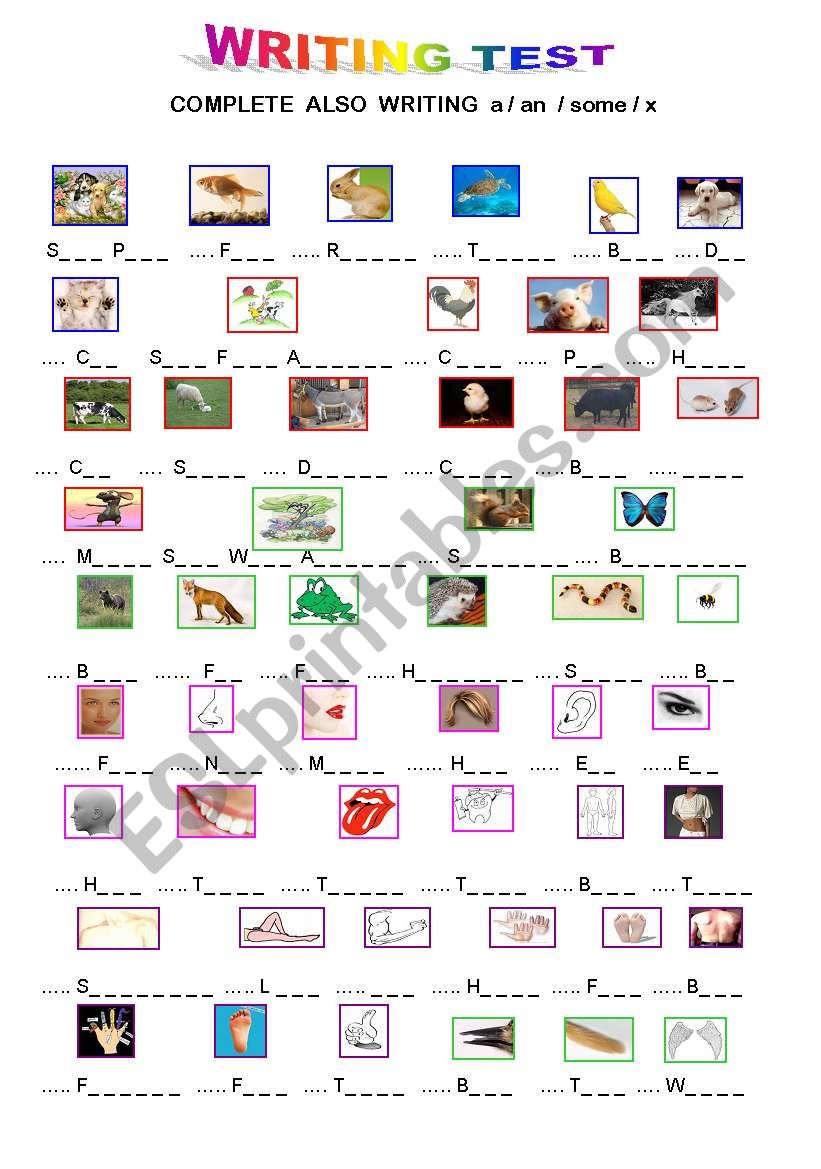 AN  EASY  WRITING  TEST : ANIMALS  & BODY / FACE  WORDS