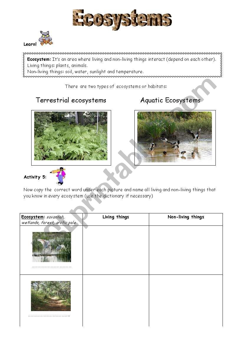 ECOSYSTEMS worksheet