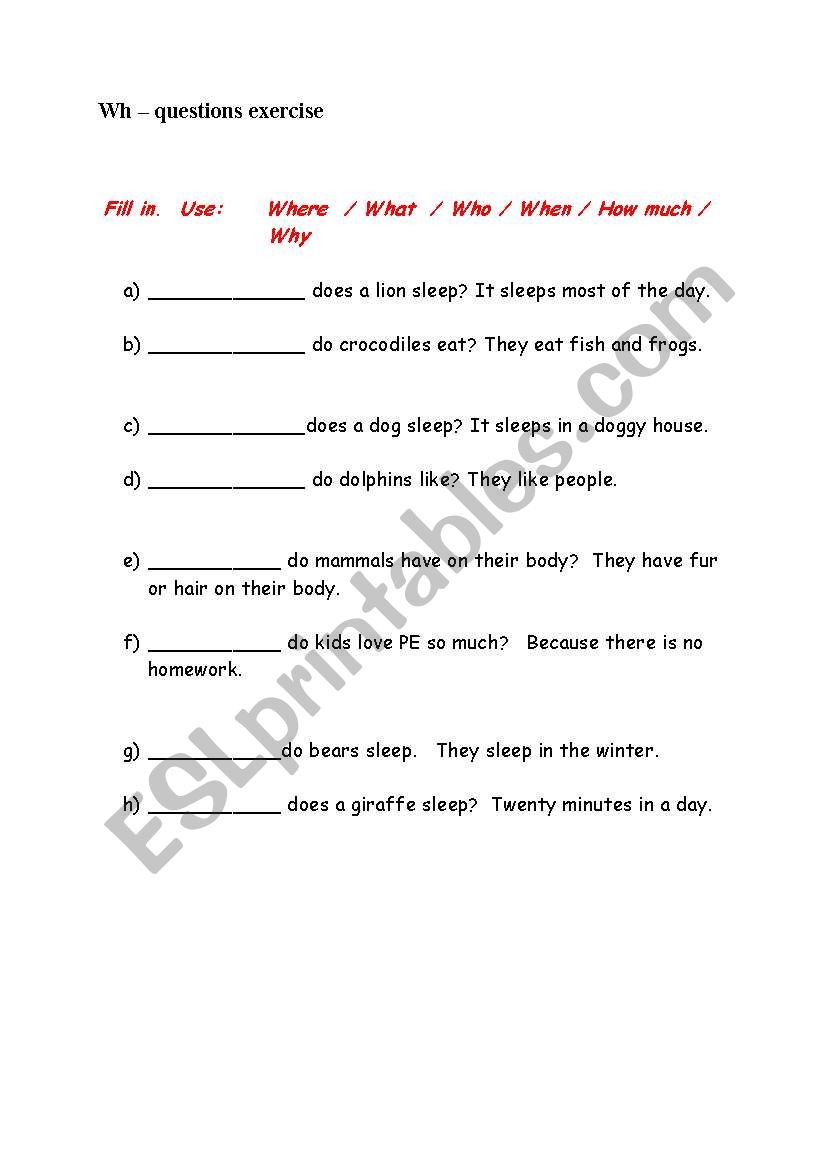 WH-question exercise worksheet