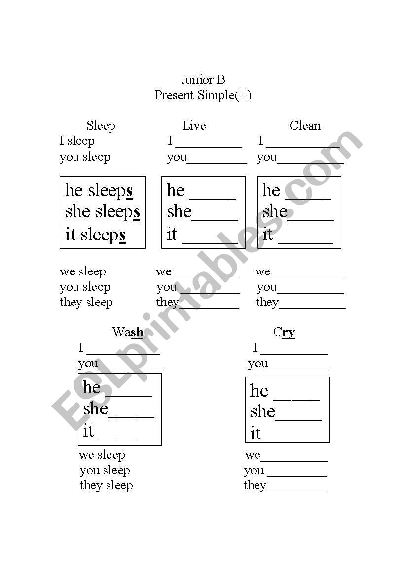 present simple worksheet