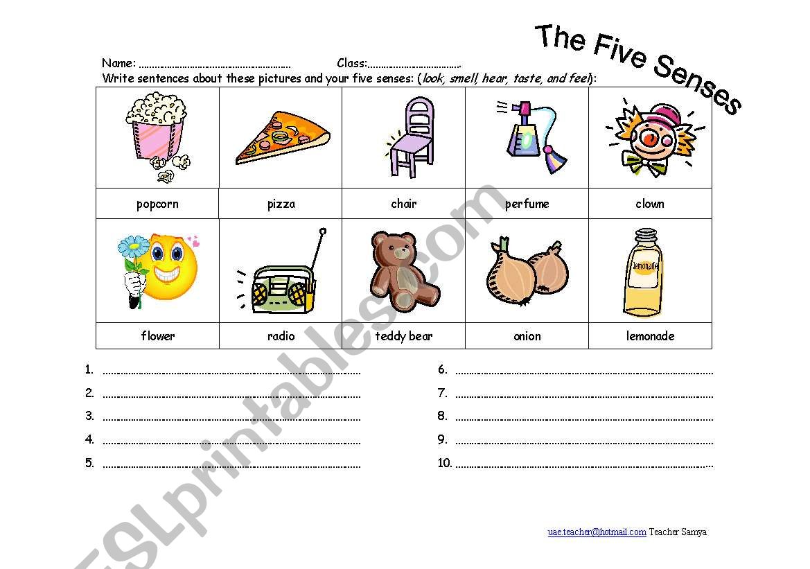 The Five Senses worksheet