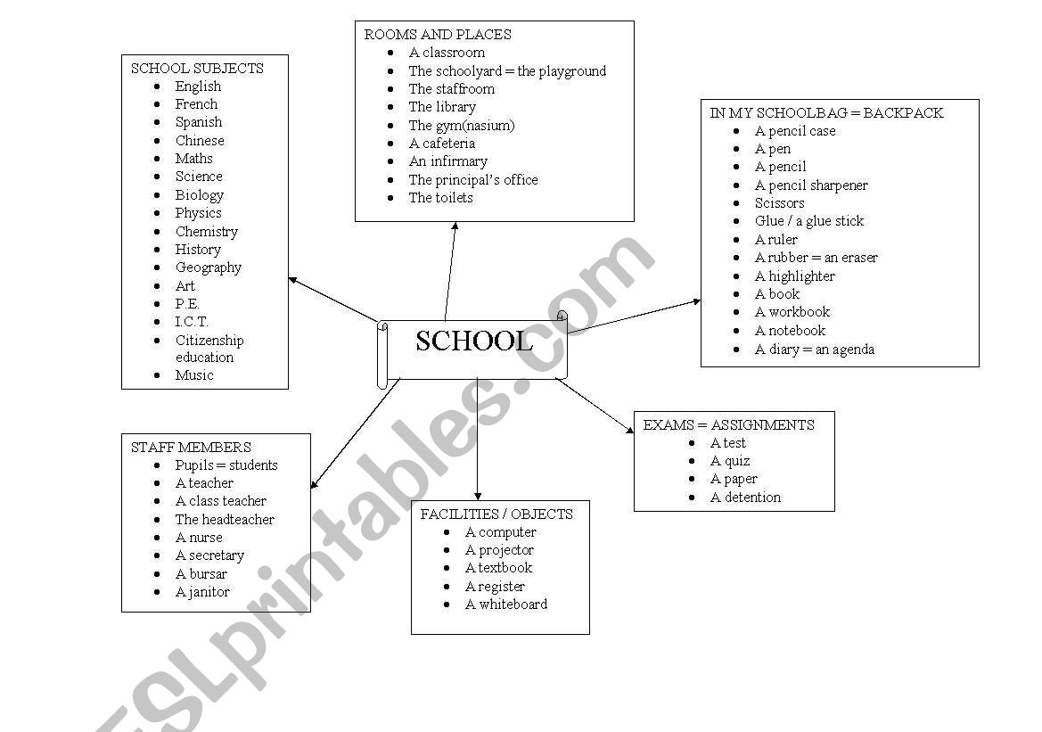 Spidergram on school worksheet