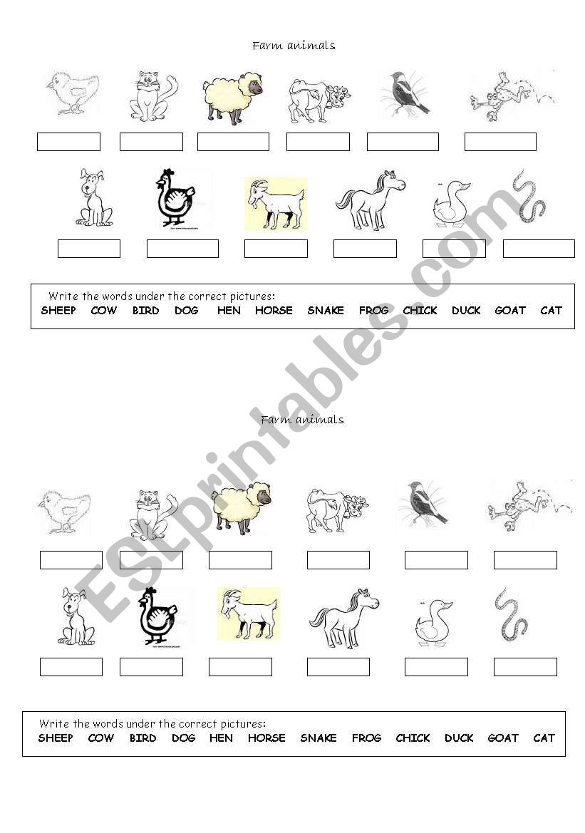 Farm animals worksheet