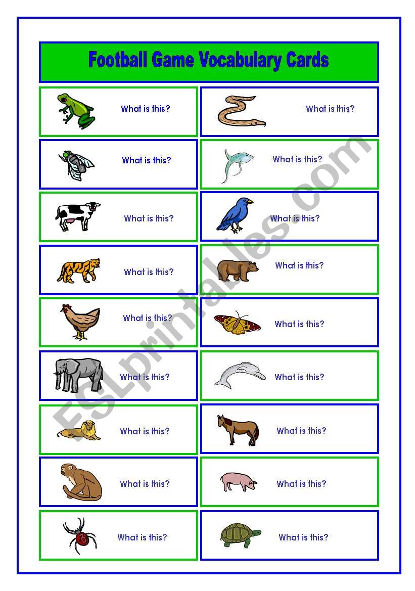 Football/Soccer Game Animal and Food Vocabulary Cards (3/6)