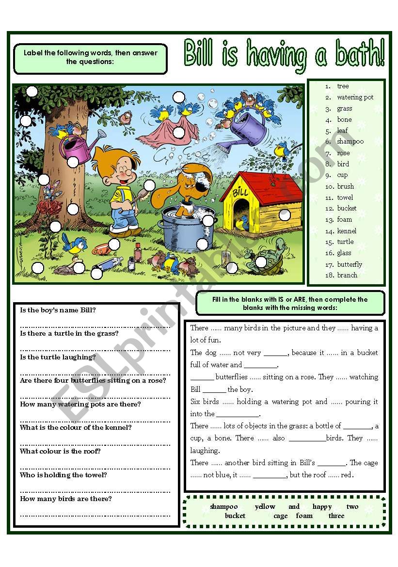 BILL IS HAVING A BATH! worksheet