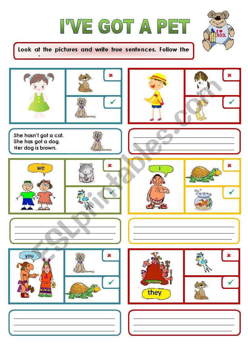 HAVE GOT AND PETS worksheet