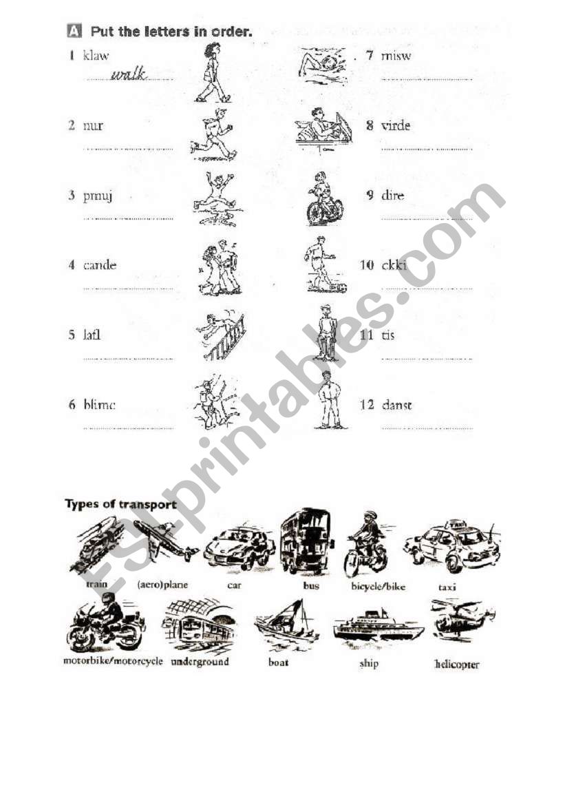 Verbs of movement and means of transport