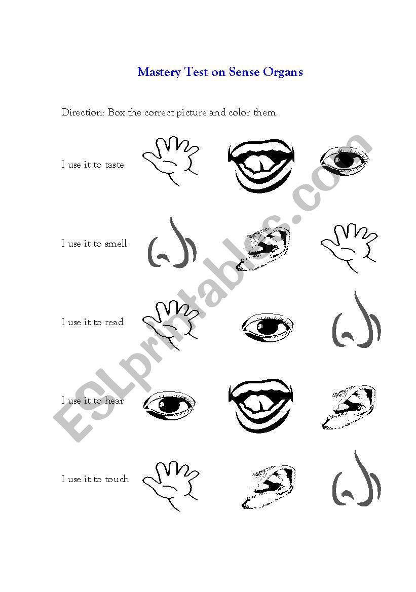 Mastery Test on Sense Organs worksheet