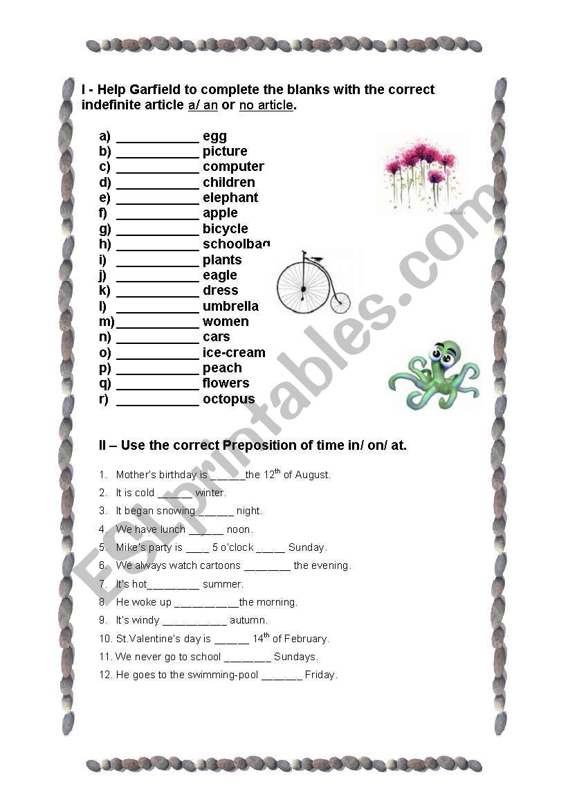 indefinite article worksheet