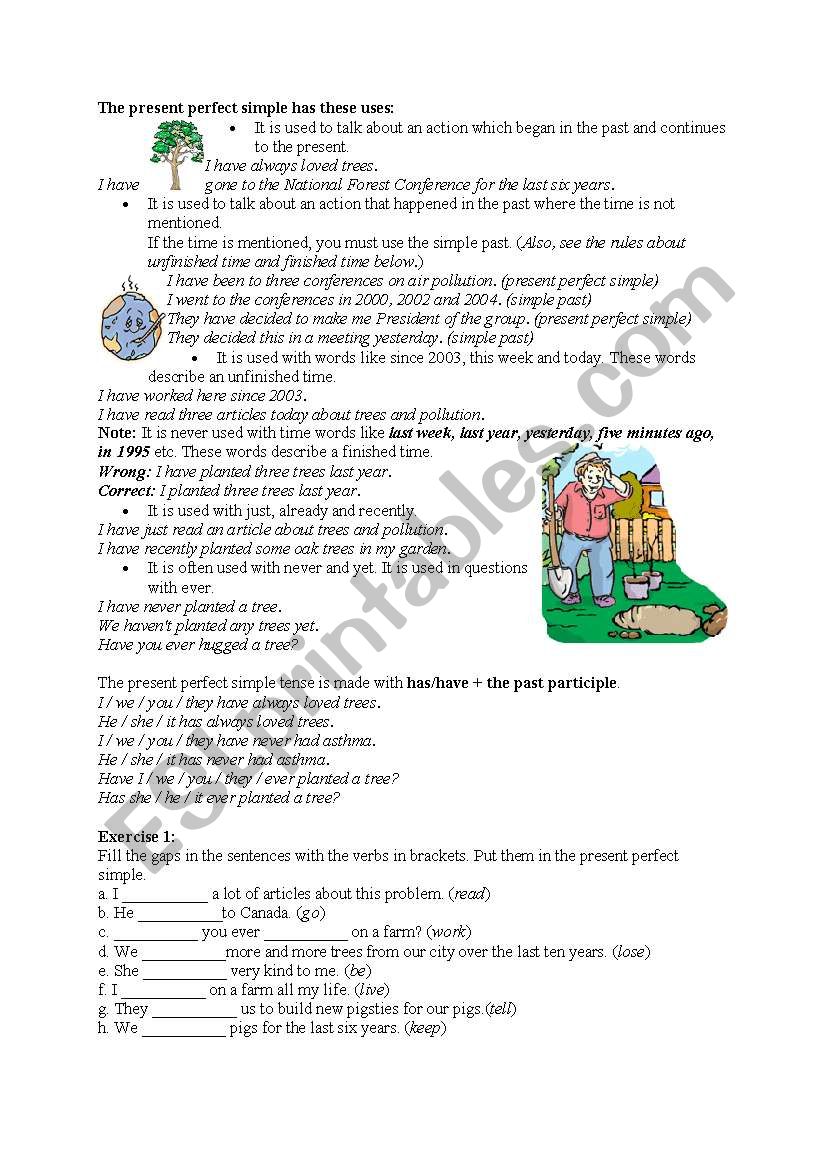 The Present Perfect Simple worksheet