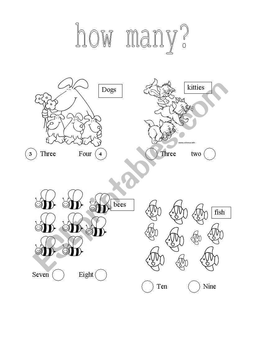 HOW MANY? worksheet