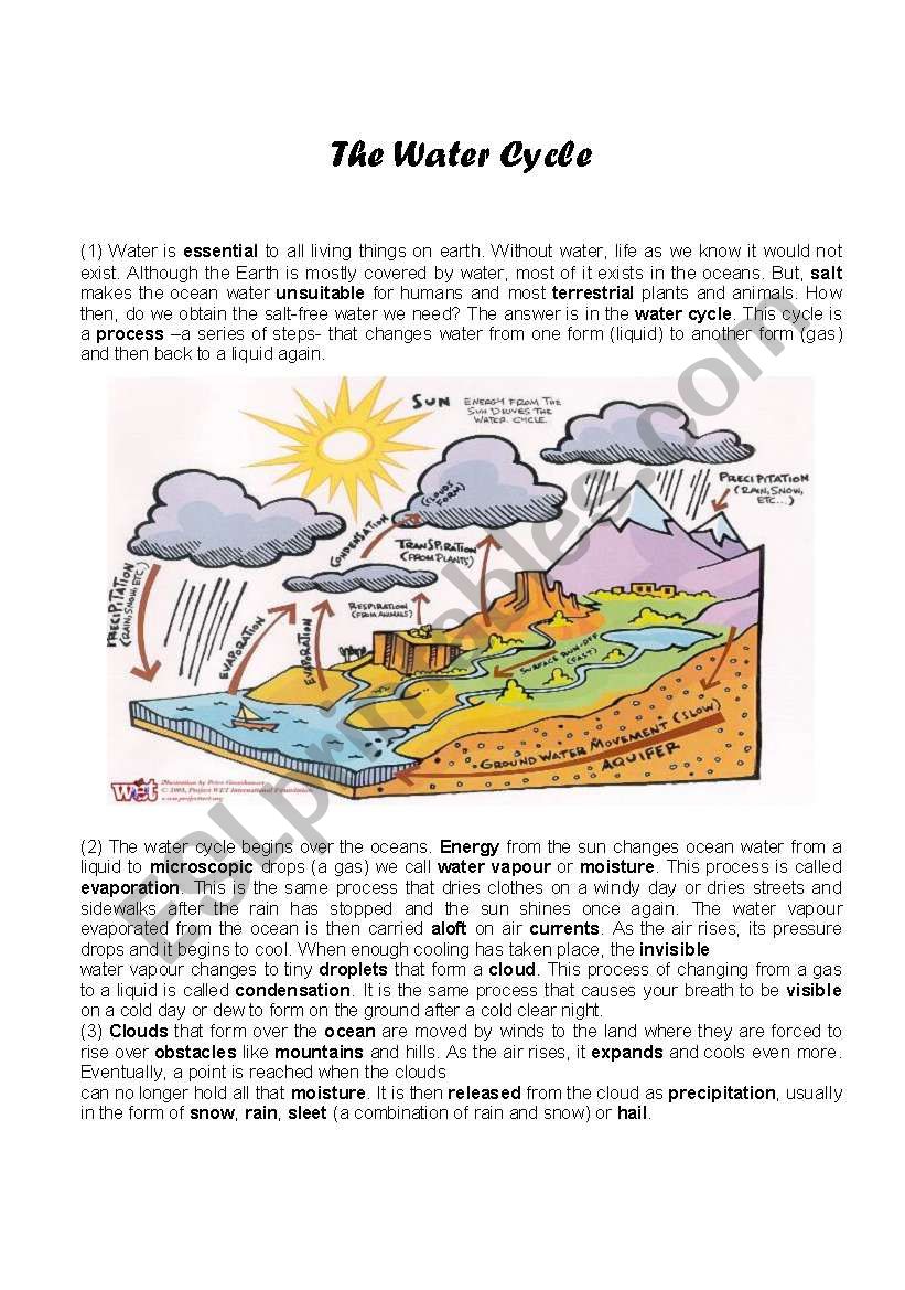 Water cycle worksheet