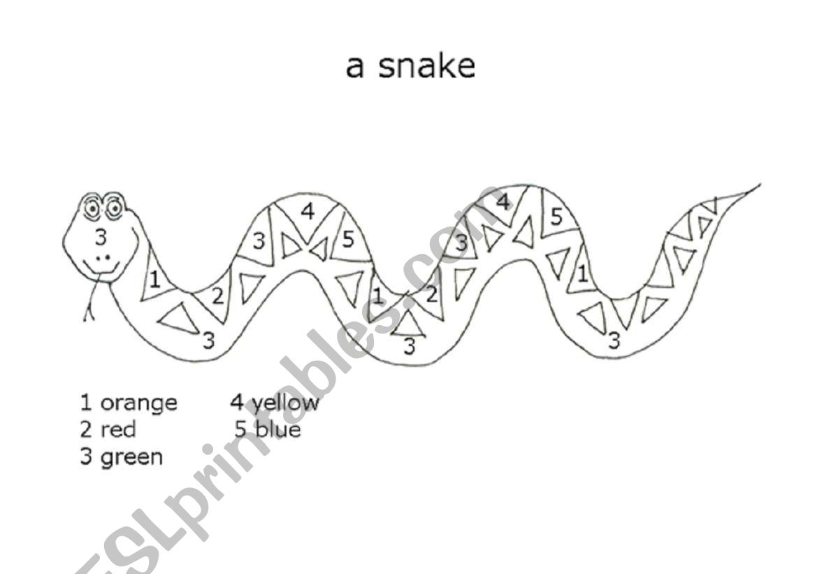Snake worksheet