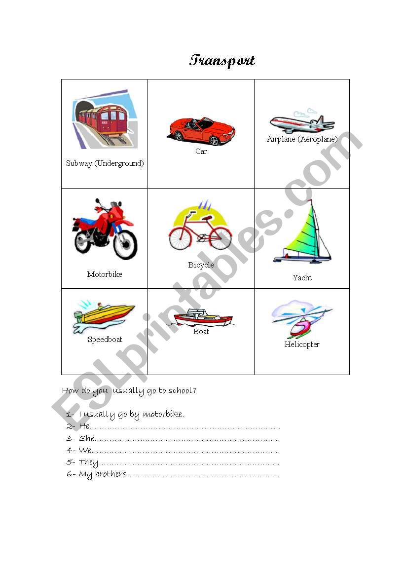 Transport worksheet