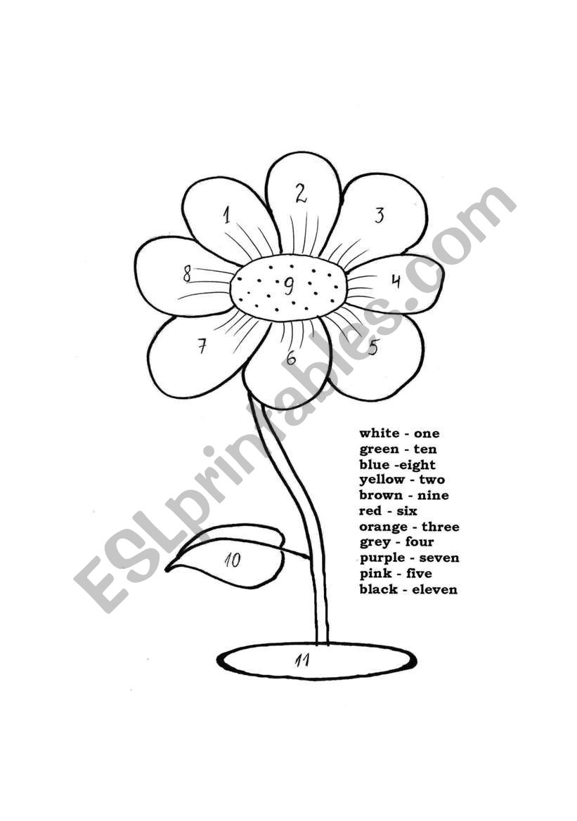 Color the Flower worksheet