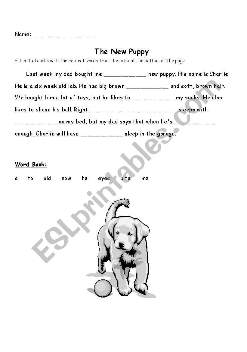 Cloze Activity: The New Puppy worksheet